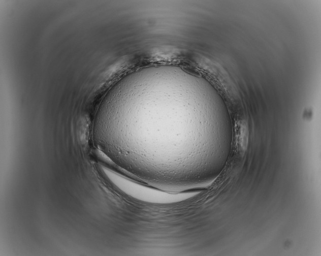 X0000097300712200802291813