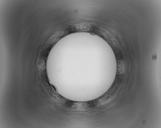 X0000097300713200802291813