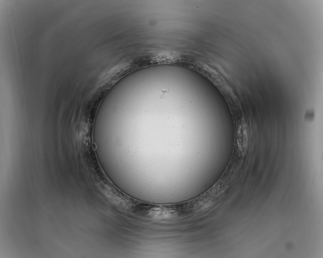 X0000097300714200802291813