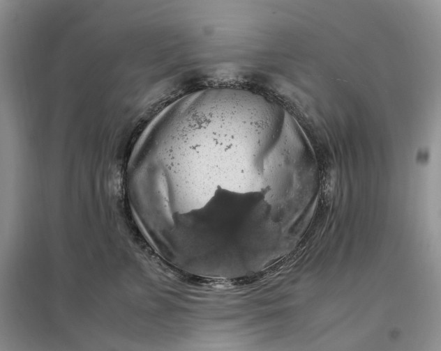 X0000097300715200802291813