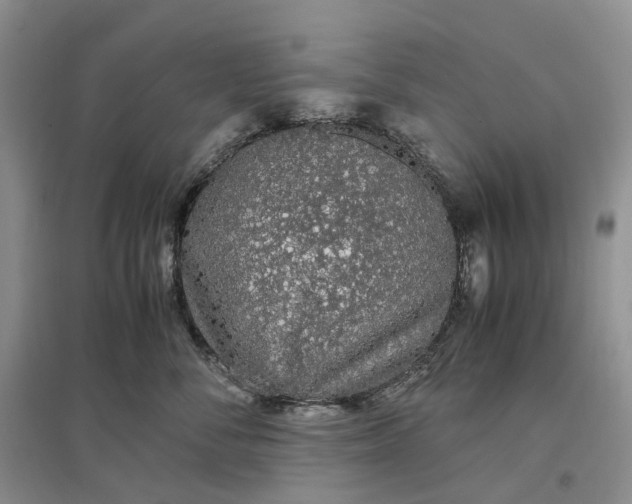 X0000097300716200802291813