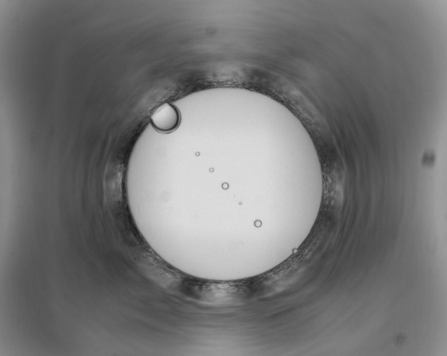 X0000097300717200802291813