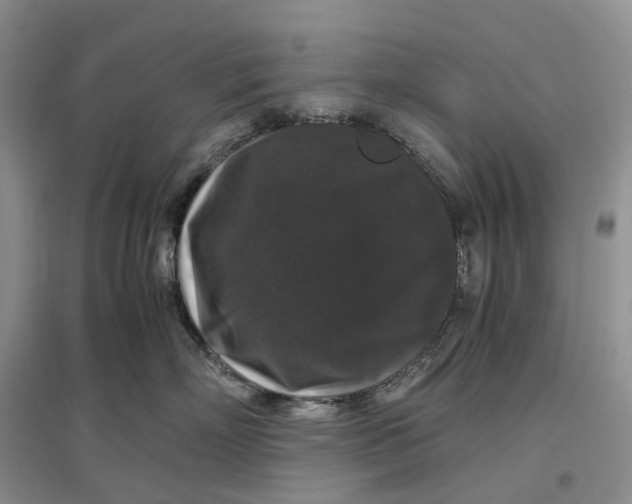 X0000097300718200802291813