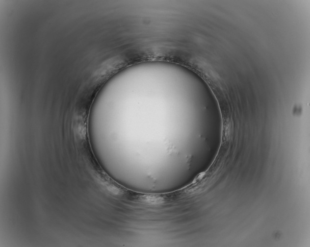 X0000097300719200802291813