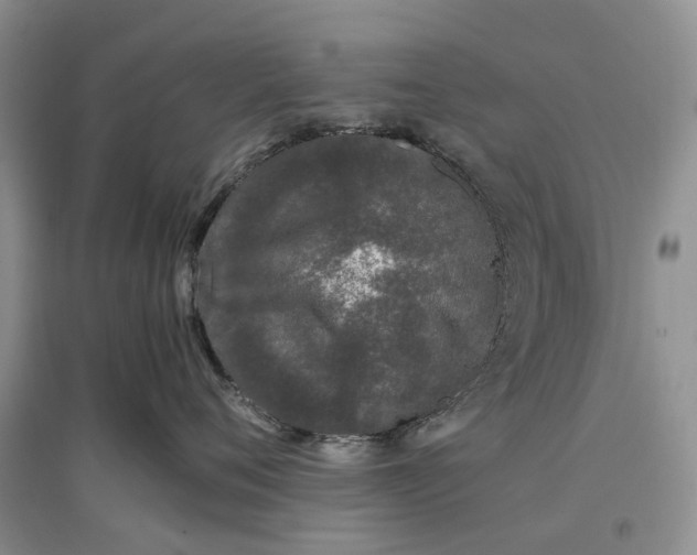 X0000097300720200802291813