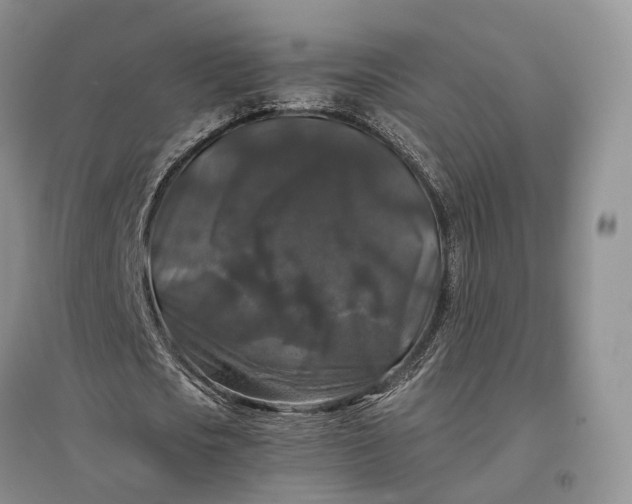 X0000097300721200802291813