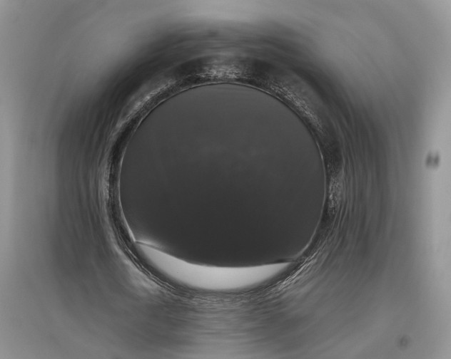 X0000097300722200802291813