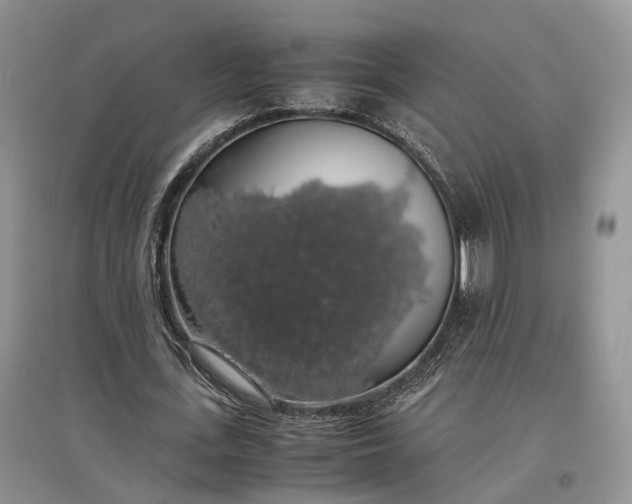 X0000097300723200802291813