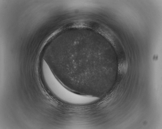 X0000097300724200802291813