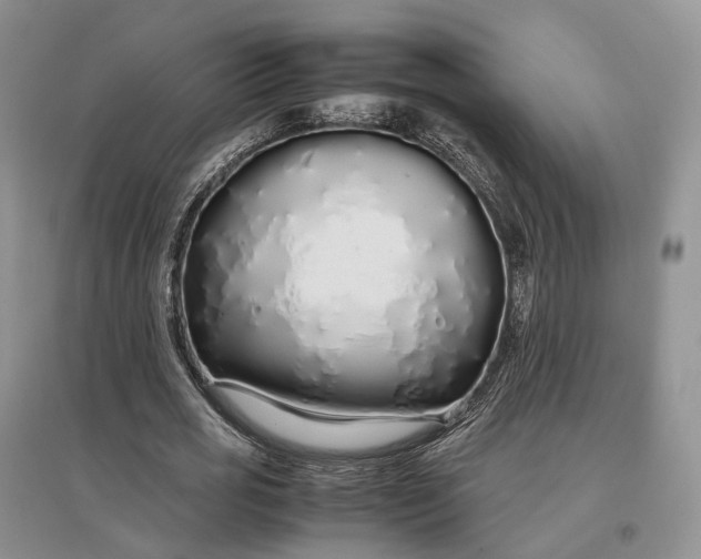 X0000097300725200802291813