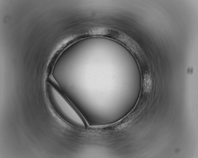 X0000097300726200802291813