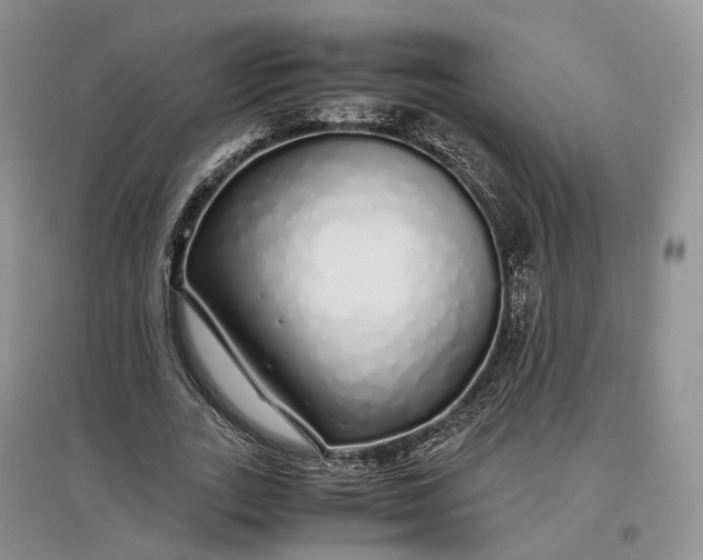 X0000097300727200802291813