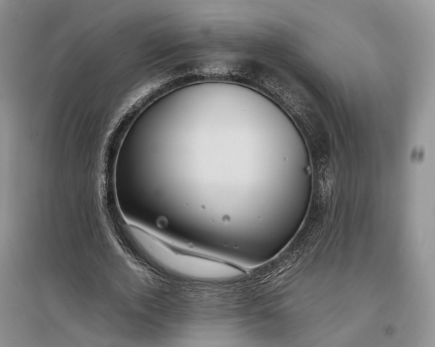 X0000097300728200802291813