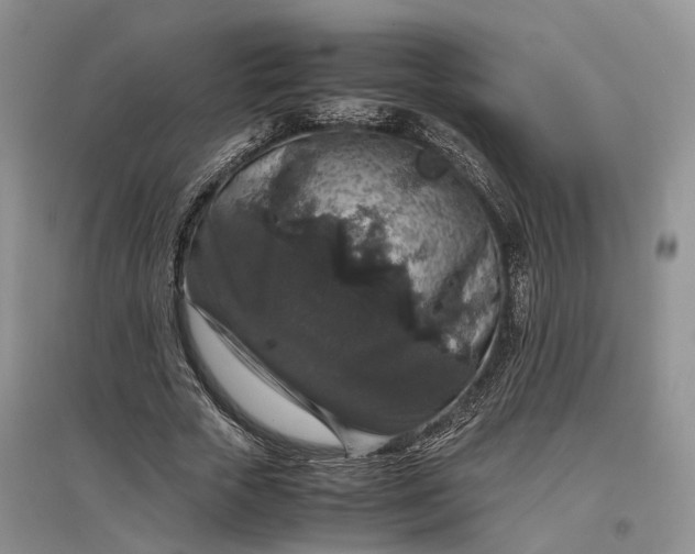 X0000097300729200802291813