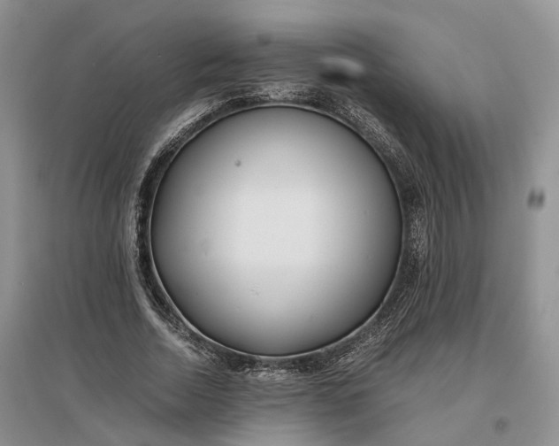 X0000097300730200802291813