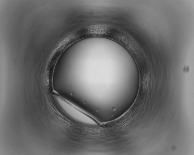 X0000097300731200802291813