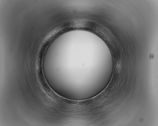 X0000097300732200802291813