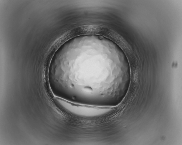 X0000097300733200802291813