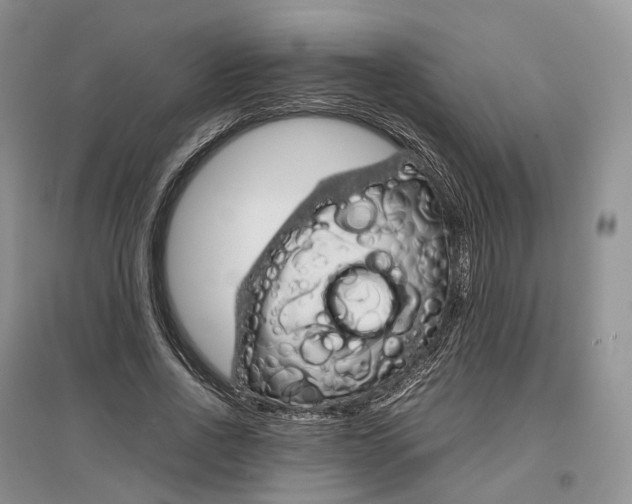 X0000097300734200802291813