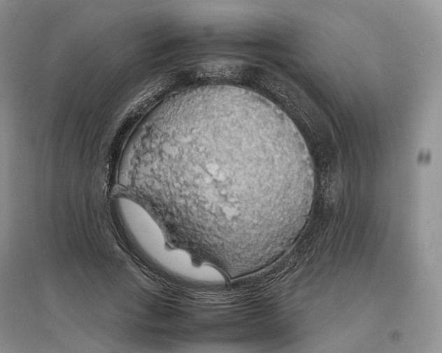 X0000097300735200802291813