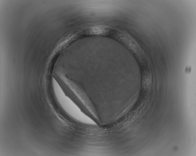 X0000097300736200802291813