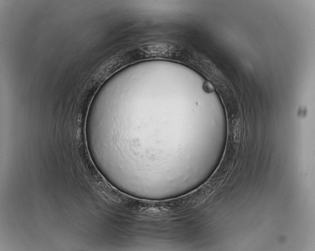 X0000097300737200802291813