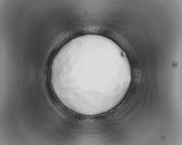 X0000097300738200802291813