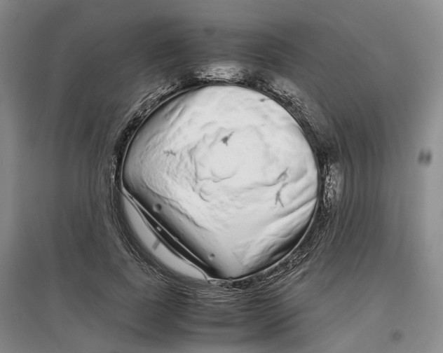 X0000097300739200802291813