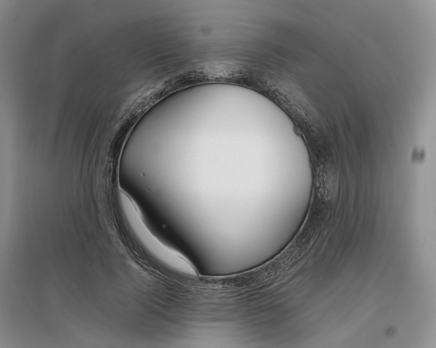 X0000097300740200802291813