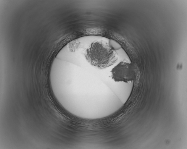 X0000097300741200802291813