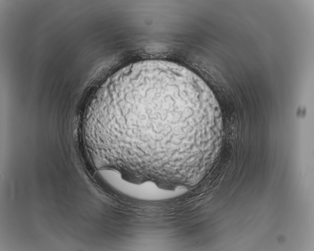 X0000097300742200802291813