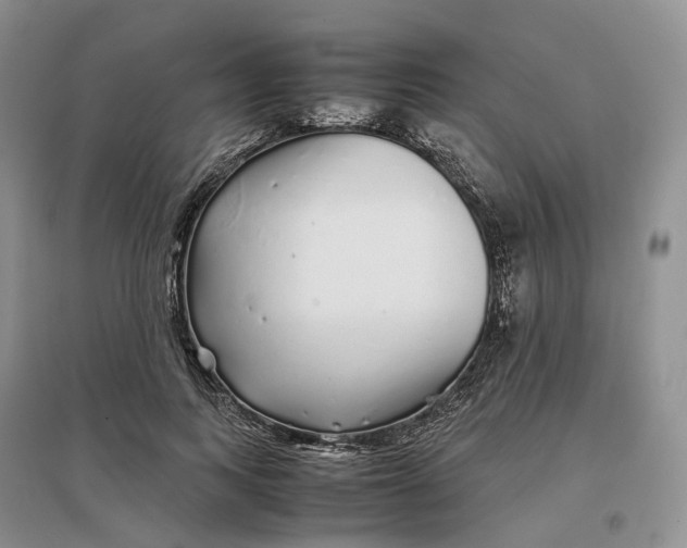 X0000097300743200802291813