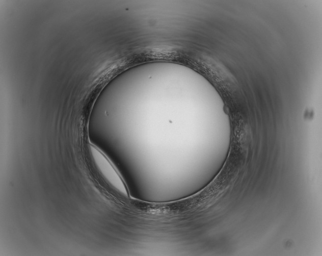 X0000097300744200802291813