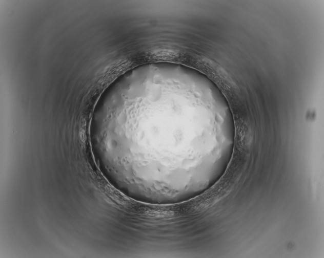 X0000097300745200802291813