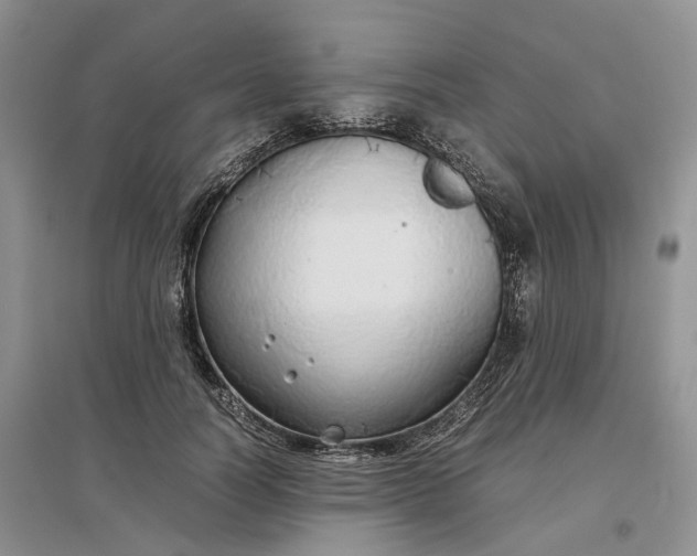 X0000097300746200802291813