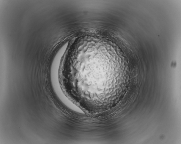 X0000097300747200802291813