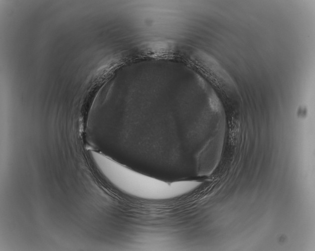 X0000097300748200802291813