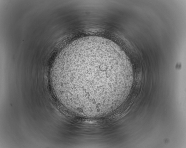 X0000097300749200802291813