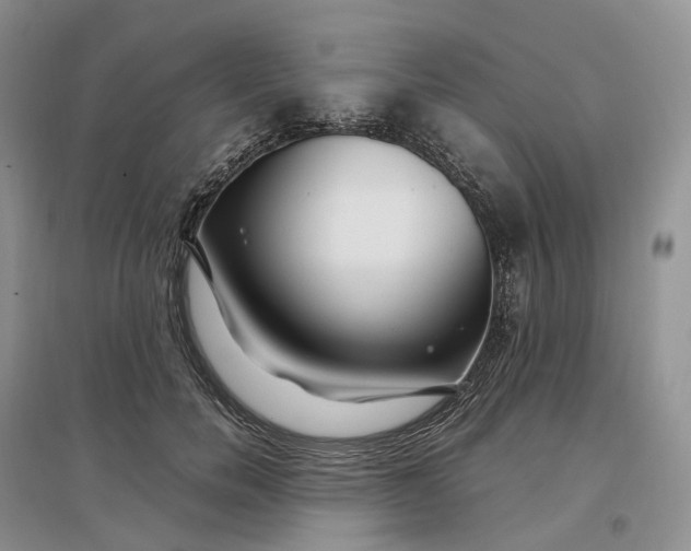 X0000097300750200802291813