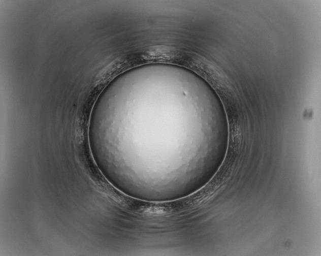 X0000097300751200802291813