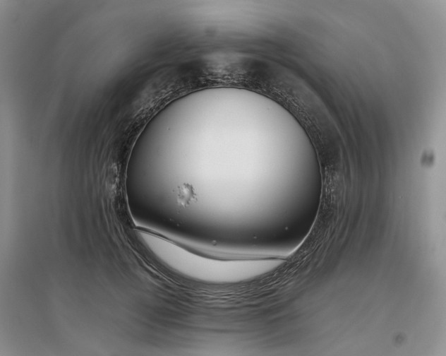 X0000097300752200802291813