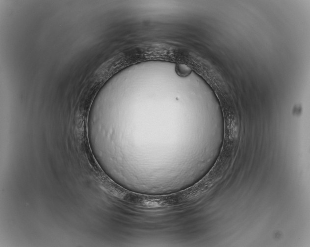 X0000097300753200802291813