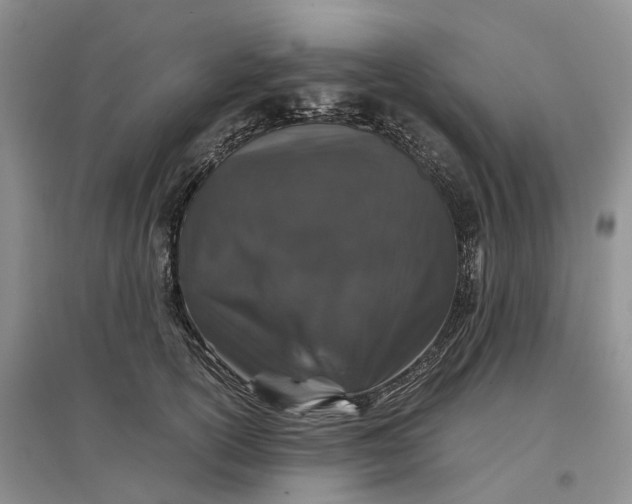 X0000097300754200802291813