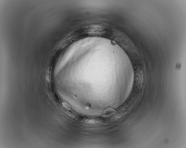 X0000097300755200802291813