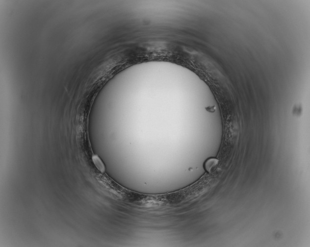 X0000097300756200802291813