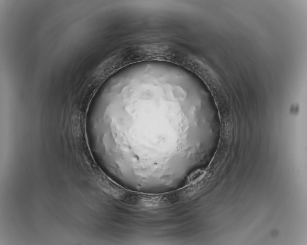 X0000097300757200802291813