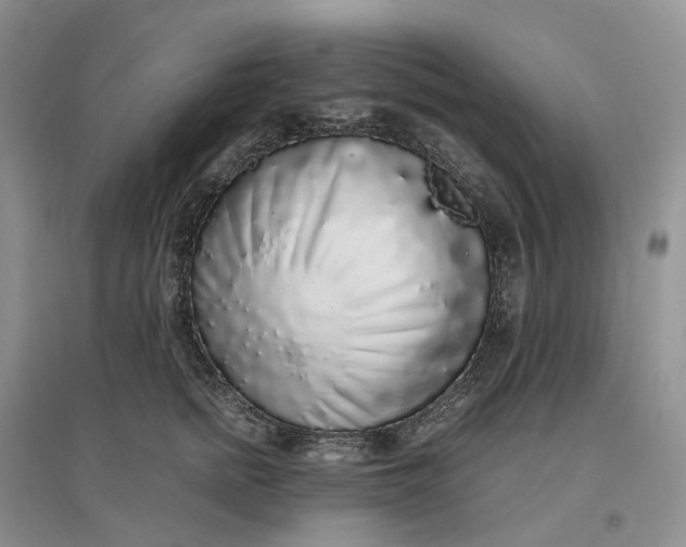 X0000097300758200802291813