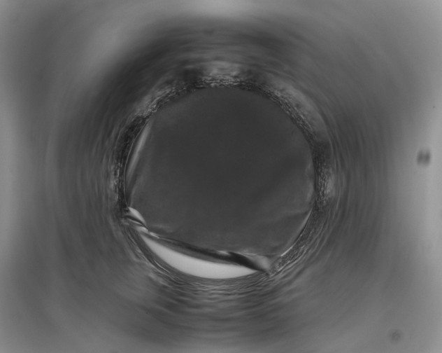 X0000097300759200802291813