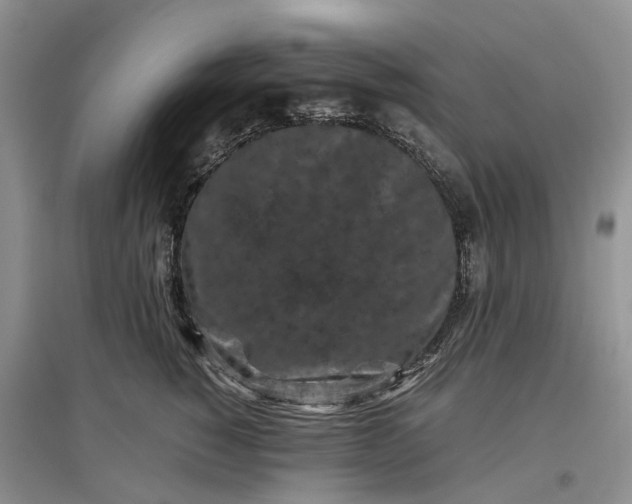 X0000097300760200802291813