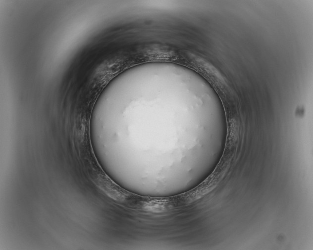 X0000097300761200802291813